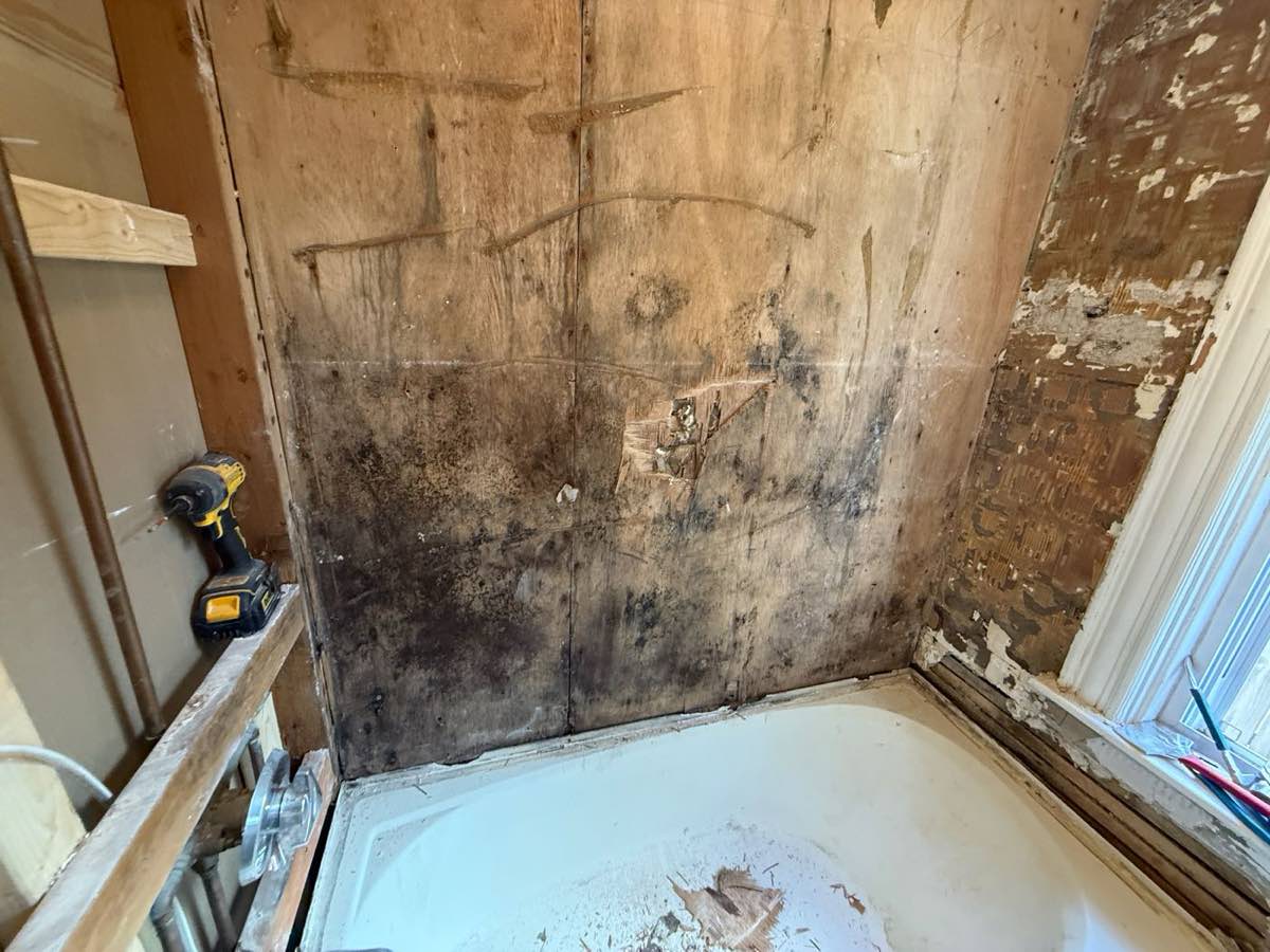 Mold found behind the shower wall during demo